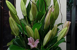 Lily Vase Arrangement